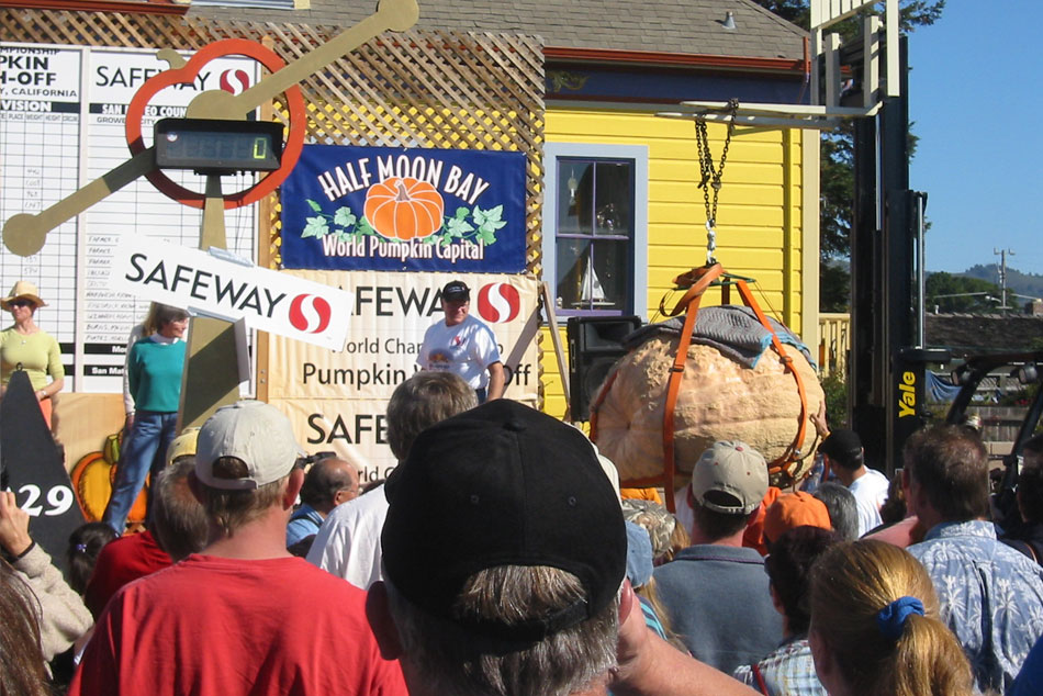 Giant Pumpkin Contest