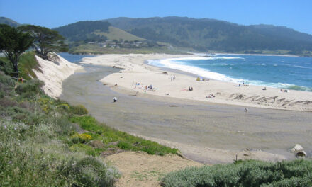 Monterey Parks, Beaches and Nature Preserves