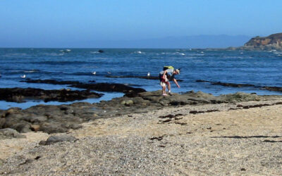 Fitzgerald Marine Reserve