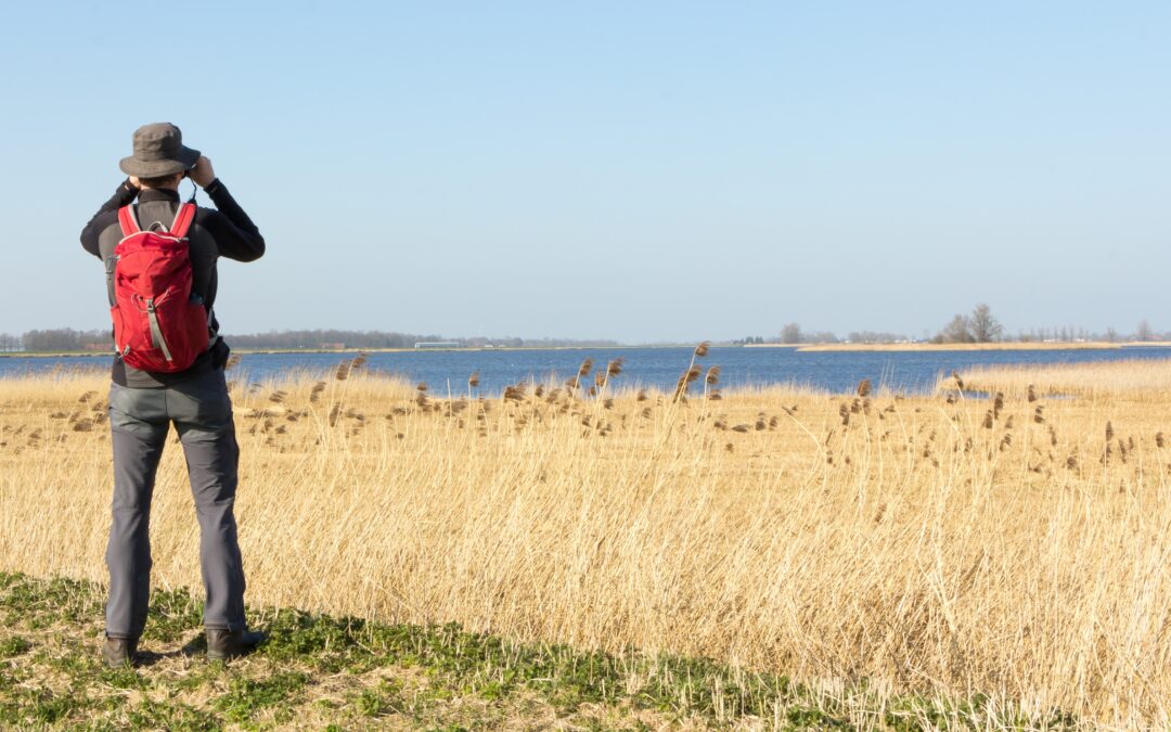 Northern California’s Top Birdwatching Locations